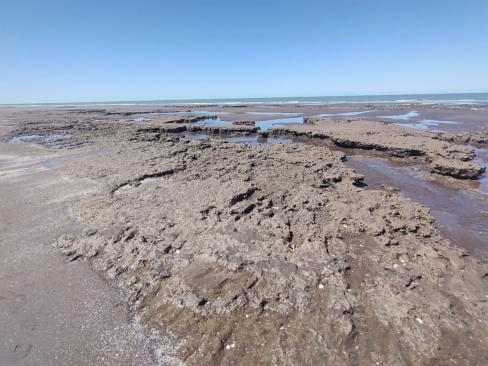 Plataforma de la reserva natural Pehuen Co–Monte Hermoso con marea baja